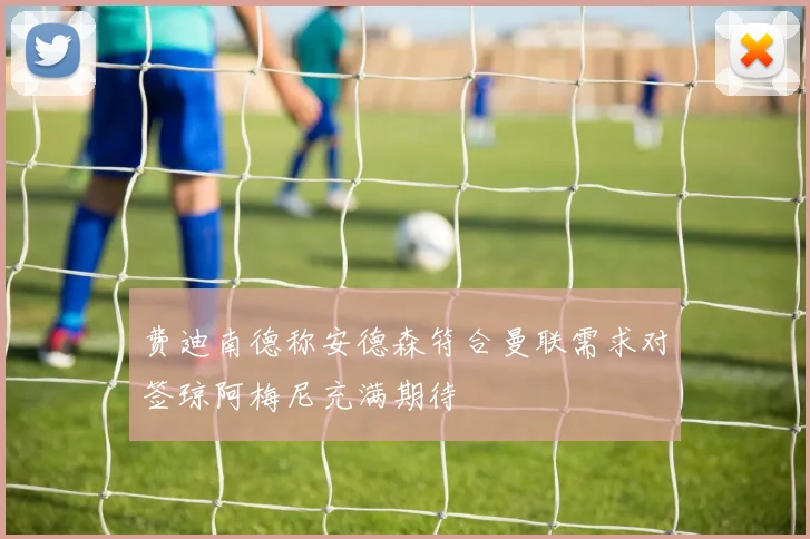 费迪南德称安德森符合曼联需求对签琼阿梅尼充满期待
