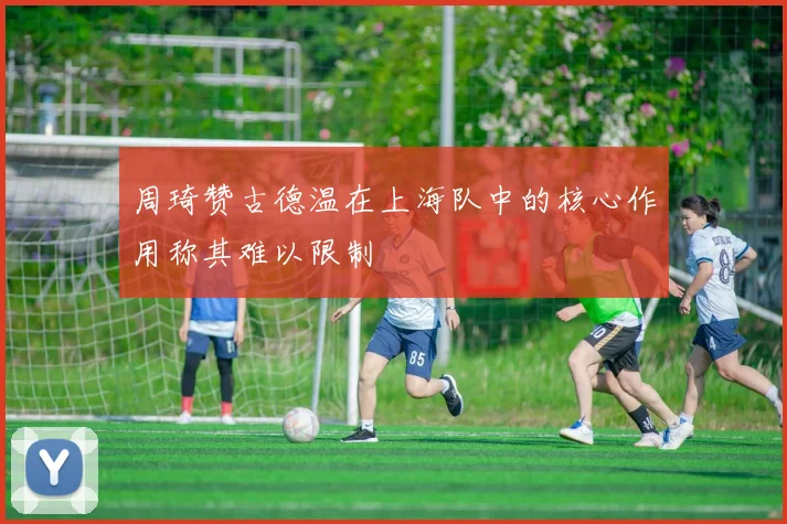 周琦赞古德温在上海队中的核心作用称其难以限制